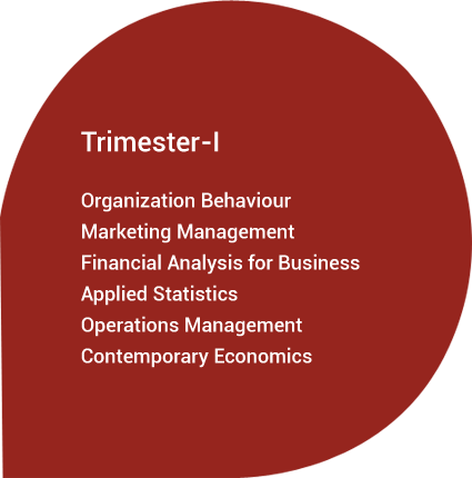 Trimester I