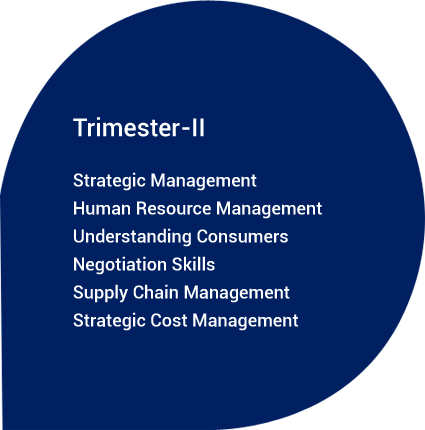 Trimester II