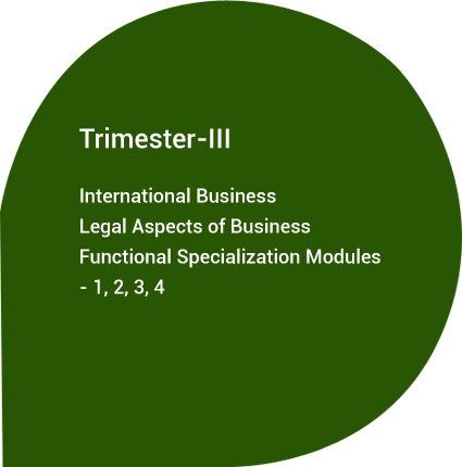 Trimester III